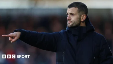 Luton 'feeding off energy from fans' - Wilshere