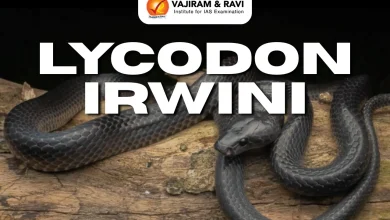 Lycodon Irwini Species, Features, Latest News