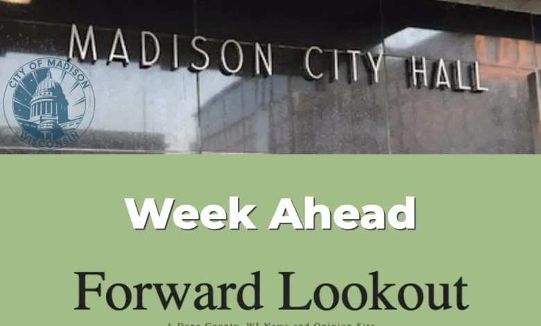 Madison City Council Meeting Schedule: November 17-20, 2025