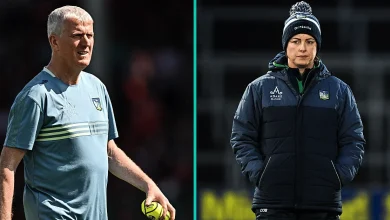 Major Coup For Limerick As Familiar Face Returns To Setup For 2026 Season