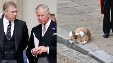 Major Drama Over the Queen’s Corgis as King Charles Prepares to “Seize” Them From Andrew