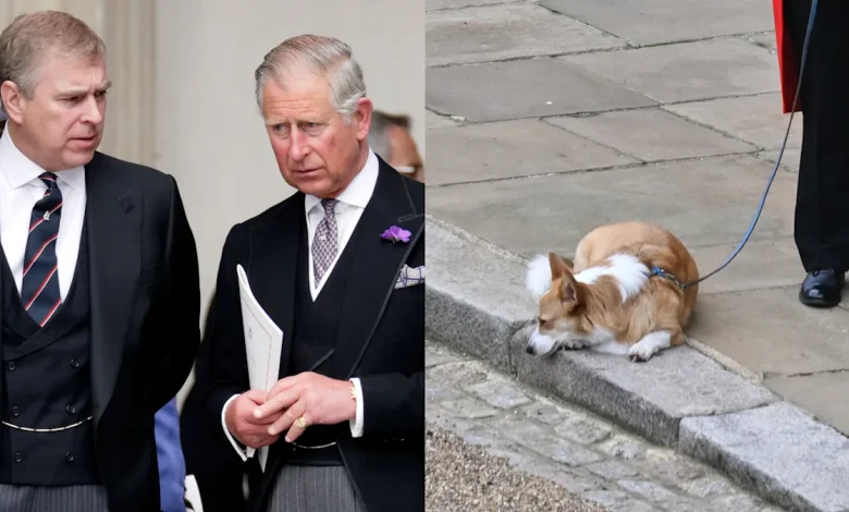 Major Drama Over the Queen’s Corgis as King Charles Prepares to “Seize” Them From Andrew