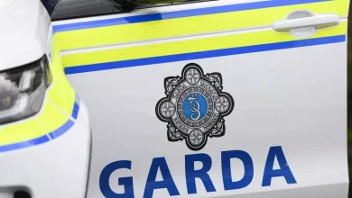 Major gangland crackdown as criminal mastermind Mr Big arrested in Dublin