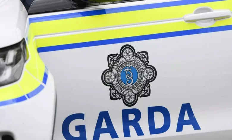 Major gangland crackdown as criminal mastermind Mr Big arrested in Dublin