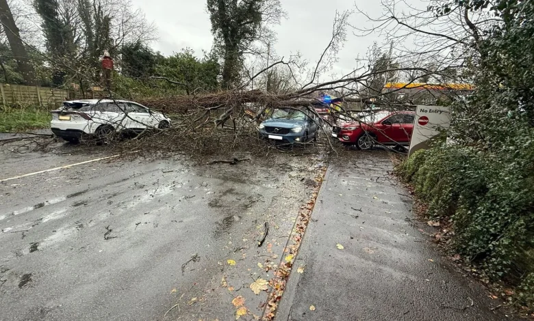 Major incident declared after 'severe and widespread flooding' in Wales, as large part of England put on cold weather alert