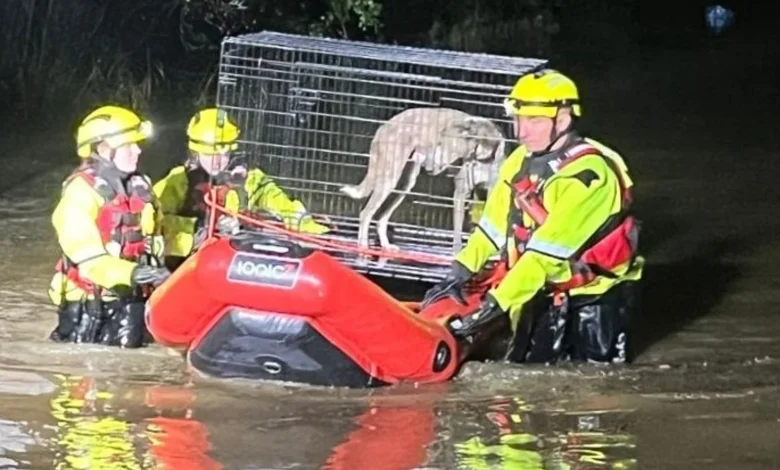 Major incident declared in parts of Wales after flooding triggers hundreds of calls