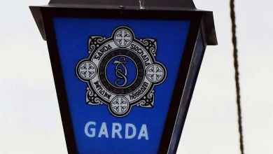Man (20s) dies following fatal assault in Dublin