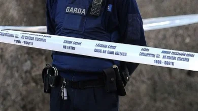 Man (38) dies after being stabbed in chest at property in Cork