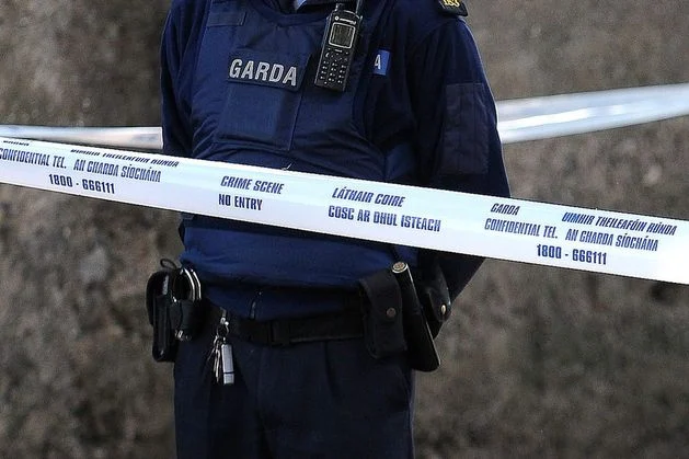 Man (38) dies after being stabbed in chest at property in Cork
