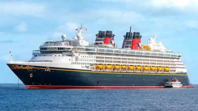 Man, 73, Missing After Going Overboard a Disney Cruise Line Ship: 'It Was a Bit Eerie the Rest of the Day,' Passenger Recalls