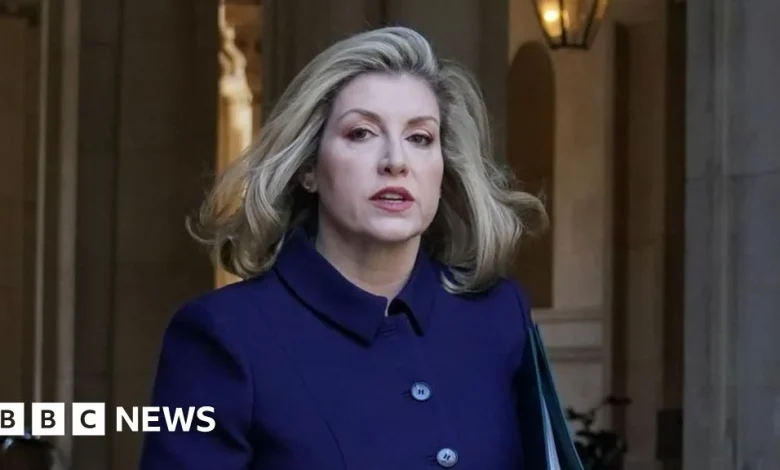 Man accused of stalking Penny Mordaunt says actions 'harmless'