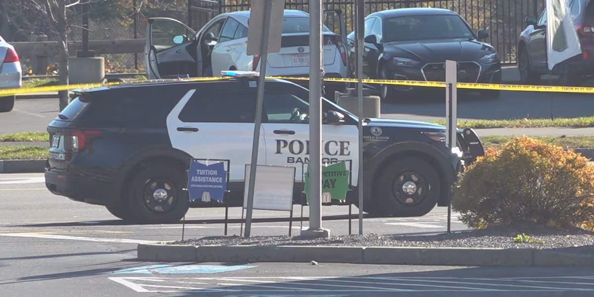 Man arrested after assault at Bangor business