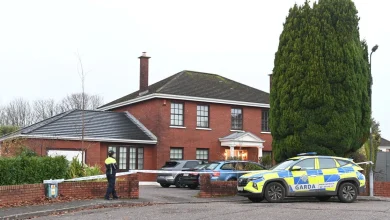 Man arrested after woman dies and husband injured in stabbing outside Cork home