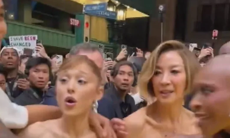 Man who rushed Ariana Grande at Wicked red carpet sentenced to nine days in jail