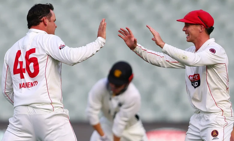Manenti, Thornton among wickets as South Australia roll WA