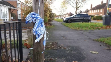 Manhunt as killer driver flees after Birmingham hit-and-run