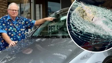 Man's new Tesla struck by suspected meteorite on remote Aussie highway in 'one-in-trillion' chance encounter