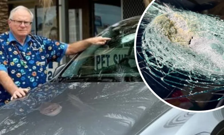 Man's new Tesla struck by suspected meteorite on remote Aussie highway in 'one-in-trillion' chance encounter