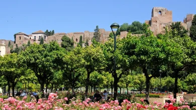 Marbella luxury market defies global slowdown as demand outpaces supply