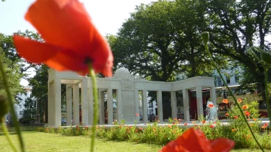 Marking Remembrance across Brighton & Hove