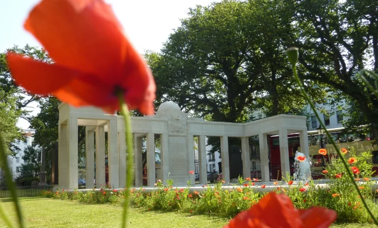 Marking Remembrance across Brighton & Hove