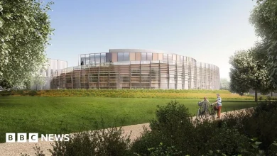 Marlow Film Studios approval provokes anger from MP