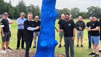 Maroubra tree gets new blue lease on life