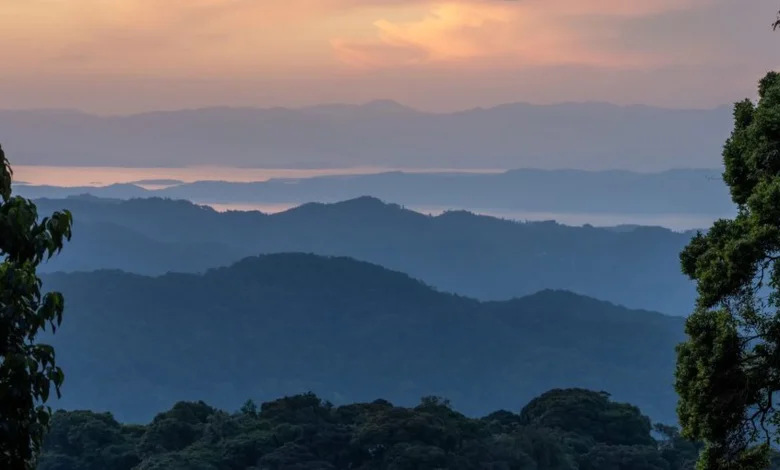 Martin Kemp Favored to Win ‘I’m A Celebrity’ 2025: Inside the Contestants, Odds, and Show Dynamics