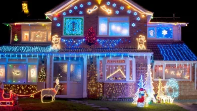 Martin Lewis' MSE helps UK householders work out how much your Christmas lights will cost
