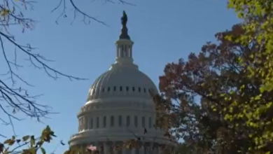 Maryland lawmakers react to possible deal to reopen federal government