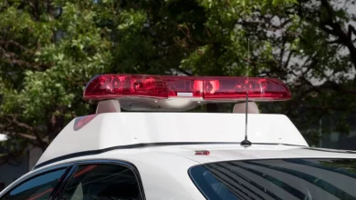 Massage parlor operator arrested for forcing 12-year-old Thai girl into sex work