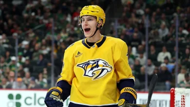 Matthew Wood Giving Nashville Predators Motivation in Times of Desperation