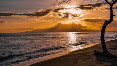 Maui Weather Forecast for November 01, 2025