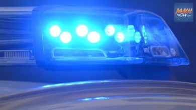 Maui police launch internal investigation after video surfaces of encounter with suspect