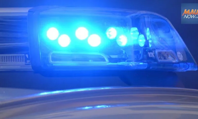 Maui police launch internal investigation after video surfaces of encounter with suspect