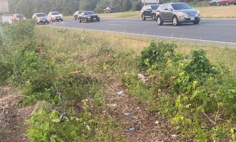 Md. woman charged in deadly 2024 crash that killed NFL draftee pleads guilty