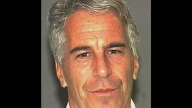 Megyn Reveals She Has Listened to Never-Before-Heard Tapes of Jeffrey Epstein Amid the Latest File Release