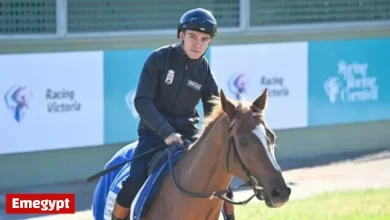 Melbourne Cup 2023: Racing Victoria Vets Evaluate Four Horses for Final Lineup