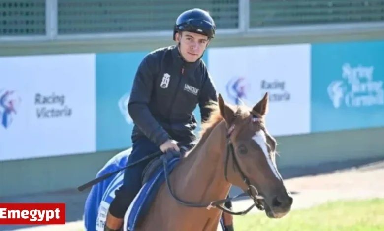 Melbourne Cup 2023: Racing Victoria Vets Evaluate Four Horses for Final Lineup