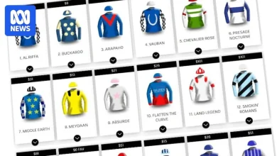 Melbourne Cup 2025: Field, barrier draw, form guide and betting