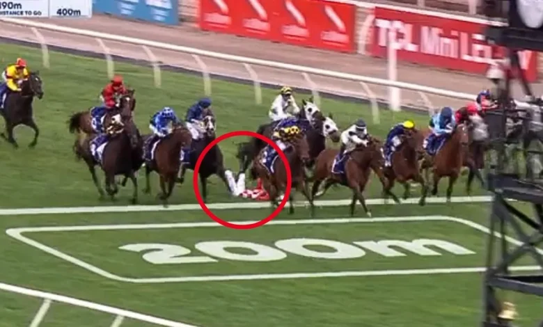 Melbourne Cup 2025: Veteran jockey Blake Shinn taken to hospital after serious fall at Flemington