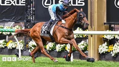 Melbourne Cup: Half Yours wins Australia's famous horse race