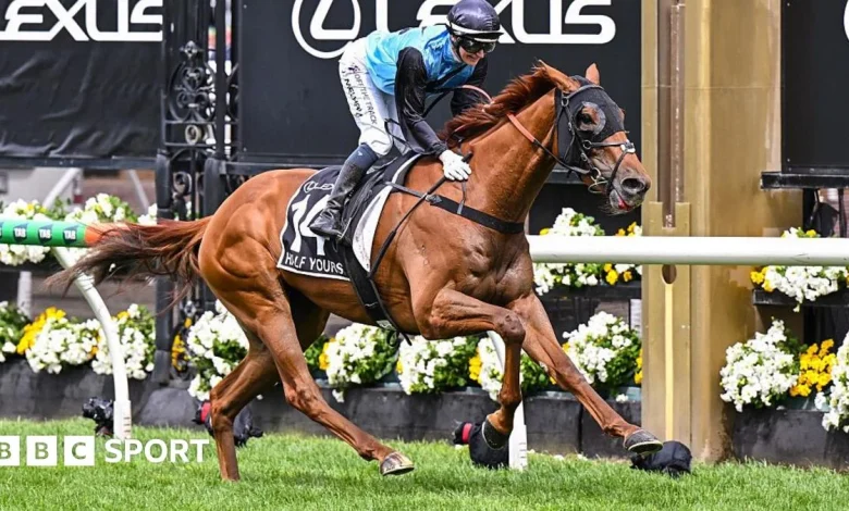 Melbourne Cup: Half Yours wins Australia's famous horse race