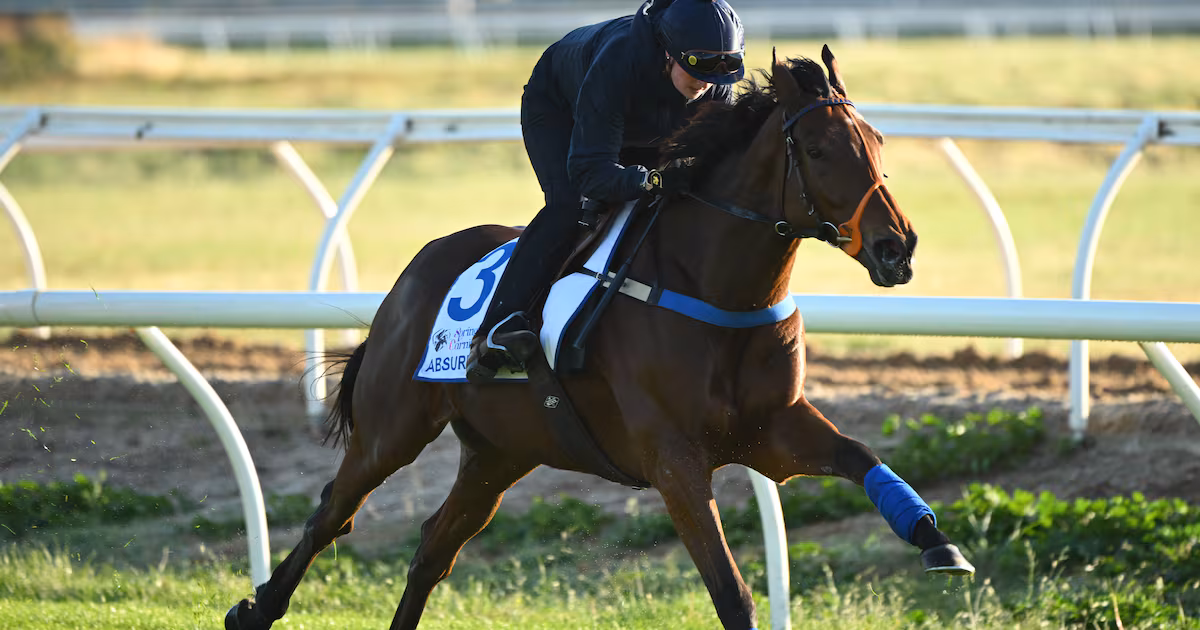 Melbourne Cup: Pre-race veterinary checks could impact Irish hopes of success