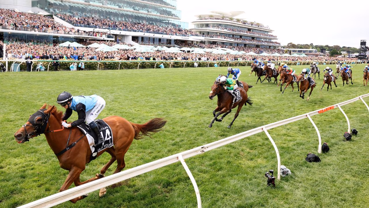 Melbourne Cup Predictions: Who backed the winner as 27 experts, greats stunned