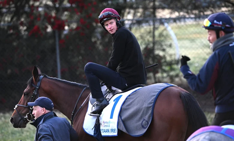 Melbourne Cup full field and barrier draw: Buckaroo, Half Yours earn nice gates as James McDonald faces uphill battle