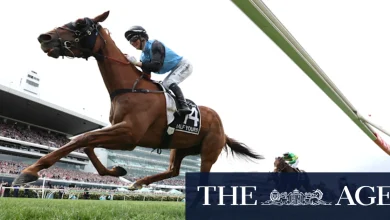 Melbourne Cup results 2025: The finishing order