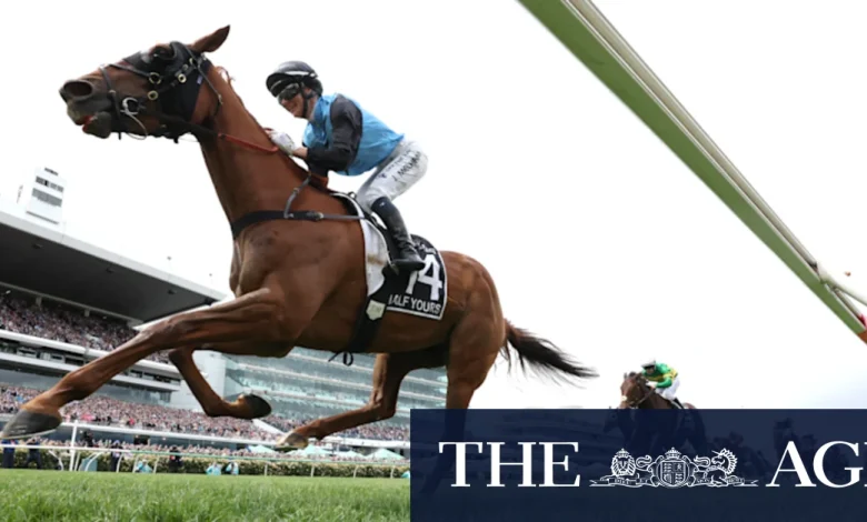 Melbourne Cup results 2025: The finishing order