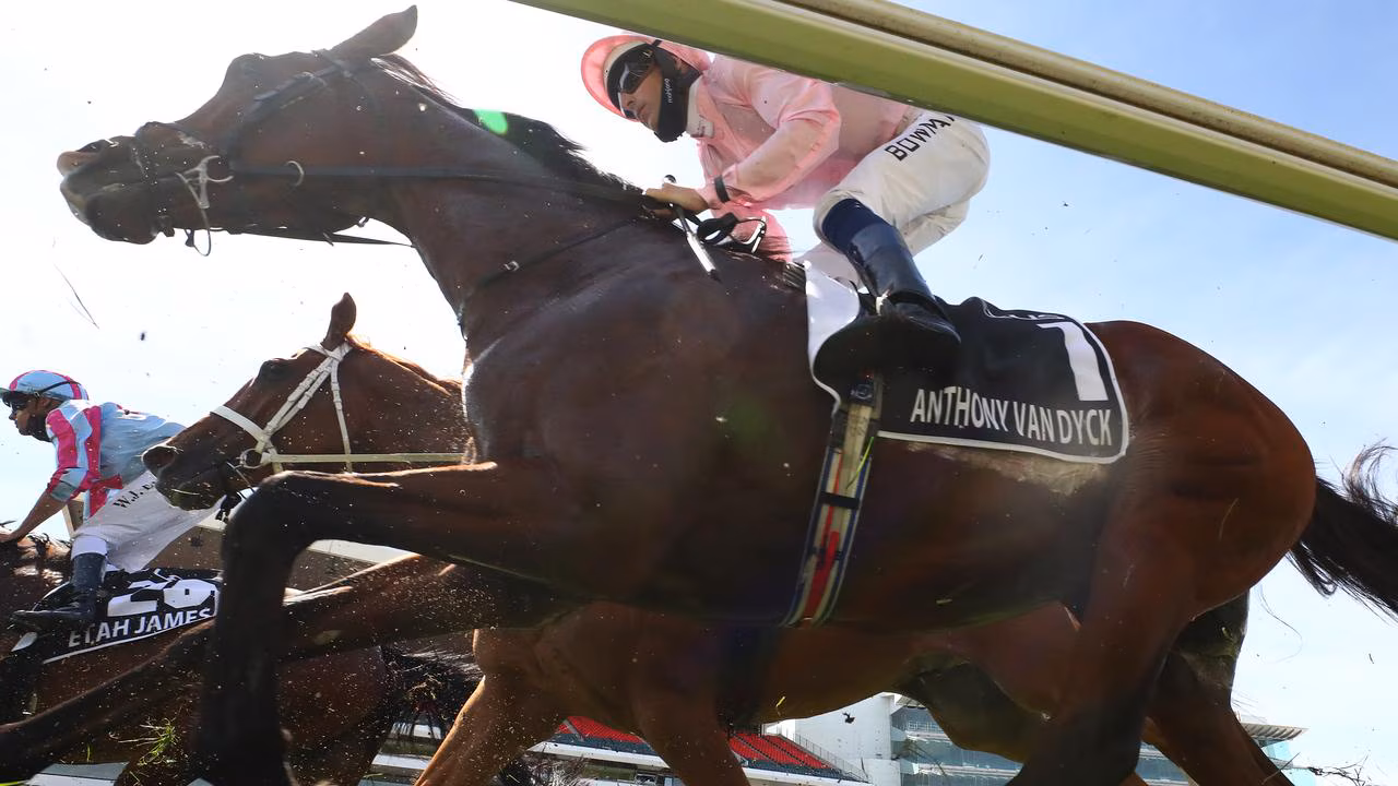 Melbourne Cup tragedies: List of horses who have died in Race That Stops a Nation