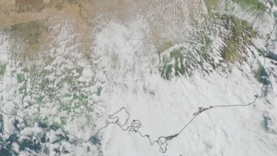 Melbourne shivers through coldest November day in 80 years